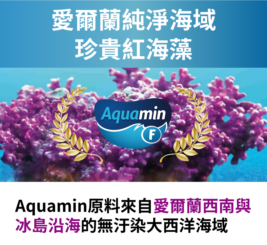 愛爾蘭海藻鈣 吸收率高 快速長高
