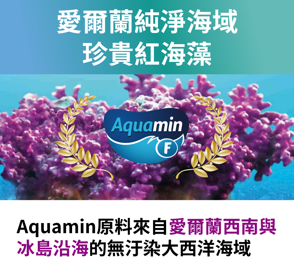 高登鈣含多豐富研物質，天然鹼性、專利歐盟認證
