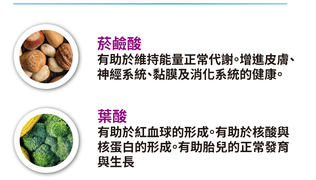  S美人高登鈣含有葉酸、菸鹼酸及綜合維生素礦物質
